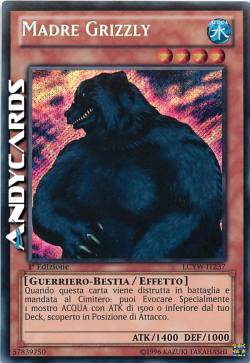 MADRE GRIZZLY