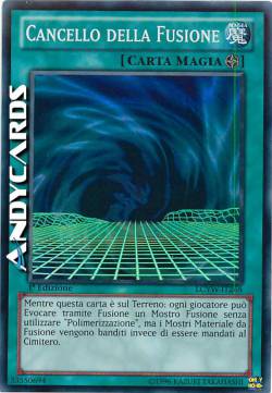 CANCELLO DELLA FUSIONE