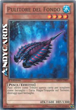PULITORE DEL FONDO