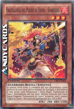 FRATELLANZA DEL PUGNO DI FUOCO - SPARVIERO