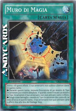 MURO DI MAGIA