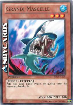 GRANDI MASCELLE