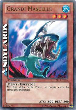 GRANDI MASCELLE