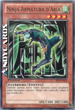 NINJA ARMATURA D'ARIA