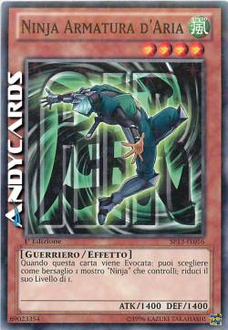 NINJA ARMATURA D'ARIA