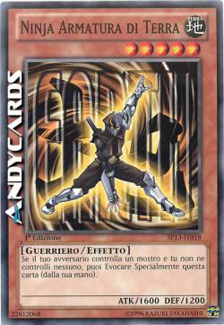 NINJA ARMATURA DI TERRA