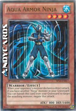 NINJA ARMATURA D'ACQUA