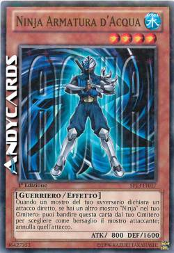 NINJA ARMATURA D'ACQUA