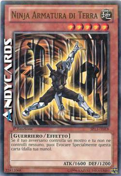 NINJA ARMATURA DI TERRA