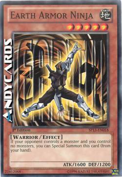 NINJA ARMATURA DI TERRA