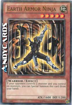 NINJA ARMATURA DI TERRA