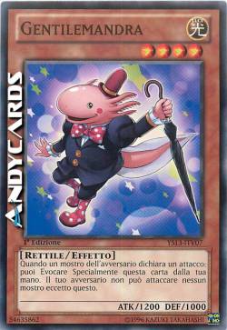 GENTILEMANDRA