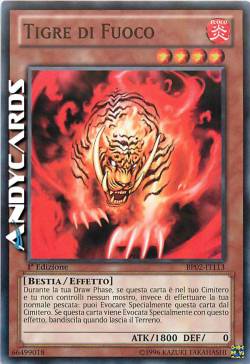 TIGRE DI FUOCO