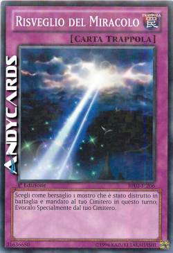 RISVEGLIO DEL MIRACOLO