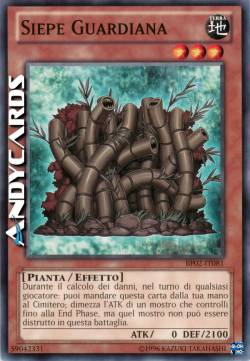 SIEPE GUARDIANA