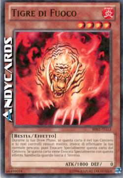 TIGRE DI FUOCO