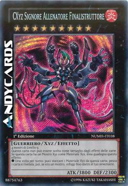 CXYZ SIGNORE ALLENATORE FINALISTRUTTORE