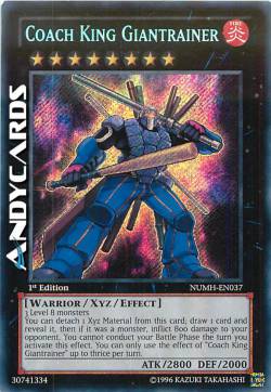 RE ALLENATORE GIGAISTRUTTORE