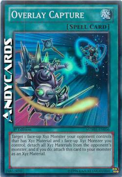 CATTURA RIVESTIMENTO