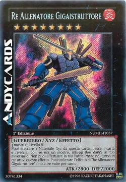 RE ALLENATORE GIGAISTRUTTORE