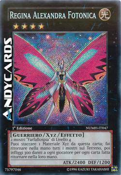 REGINA ALEXANDRA FOTONICA