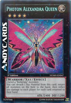 REGINA ALEXANDRA FOTONICA