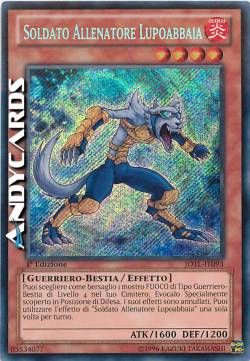SOLDATO ALLENATORE LUPOABBAIA