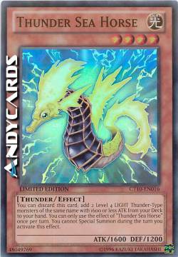 CAVALLUCCIO MARINO TUONO