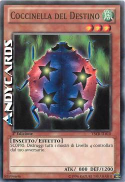 COCCINELLA DEL DESTINO