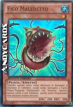 FICO MALEDETTO