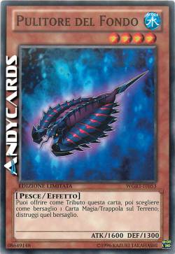 PULITORE DEL FONDO