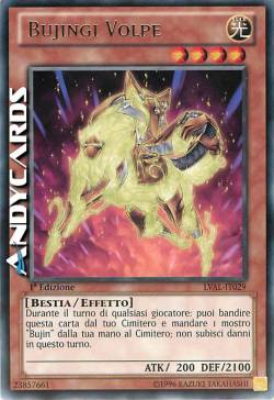 BUJINGI VOLPE