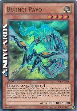 BUJINGI PAVO