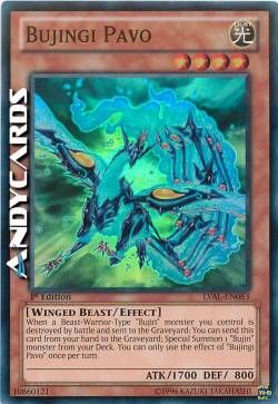 BUJINGI PAVO