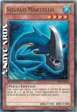 SQUALO MARTELLO