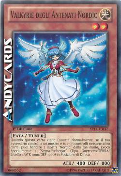 VALKYRIE DEGLI ANTENATI NORDIC