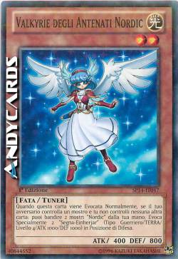 VALKYRIE OF THE NORDIC ASCENDANT