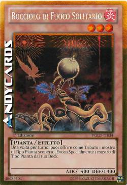 BOCCIOLO DI FUOCO SOLITARIO