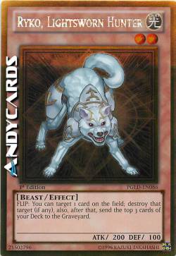 RYKO, CACCIATORE FEDELE DELLA LUCE