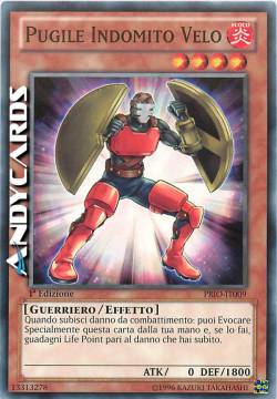 PUGILE INDOMITO VELO