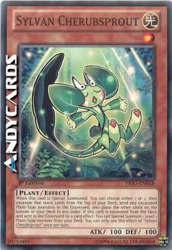 CHERUBGERMOGLIO SILVANO