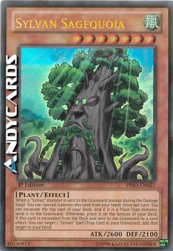 SAGGIASEQUOIA SILVANA