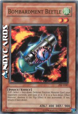 SCARABEO BOMBARDIERE