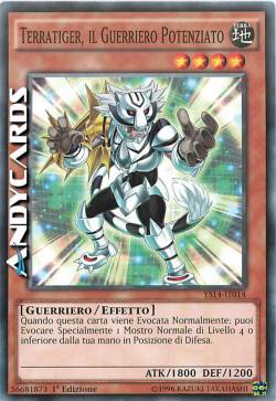 TERRATIGER, IL GUERRIERO POTENZIATO