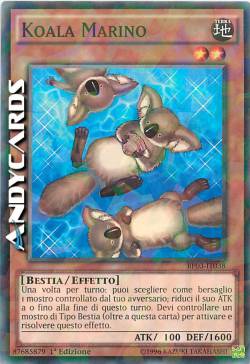 KOALA MARINO