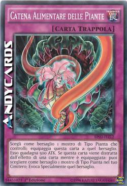 CATENA ALIMENTARE DELLE PIANTE