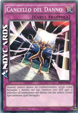 CANCELLO DEL DANNO