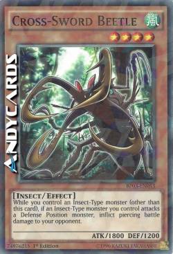 COLEOTTERO SPADE INCROCIATE