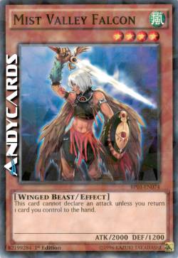 FALCO DELLA VALLE DELLE NEBBIE