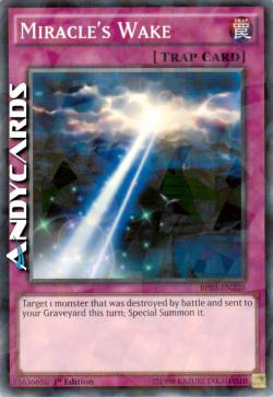 RISVEGLIO DEL MIRACOLO